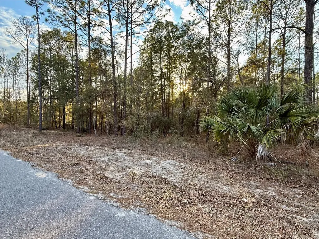 SW 205th Circle Dunnellon FL 34431