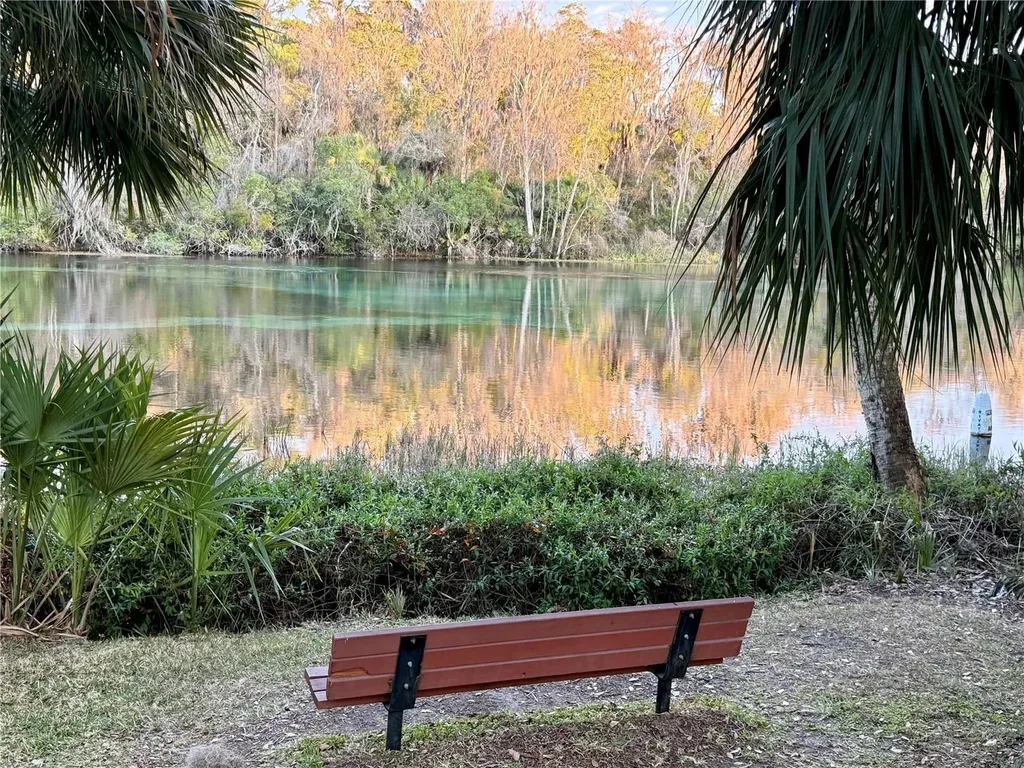SW 205th Circle Dunnellon FL 34431