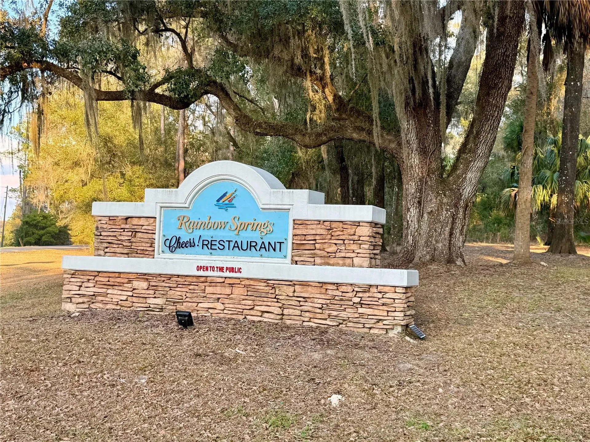 SW 205th Circle Dunnellon FL 34431