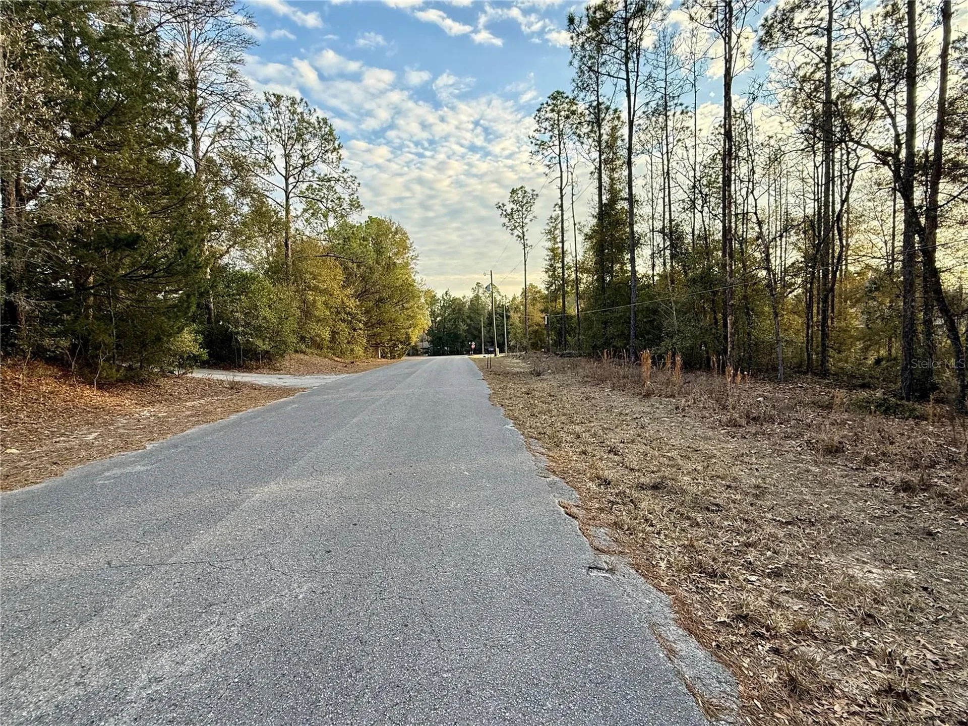 SW 205th Circle Dunnellon FL 34431