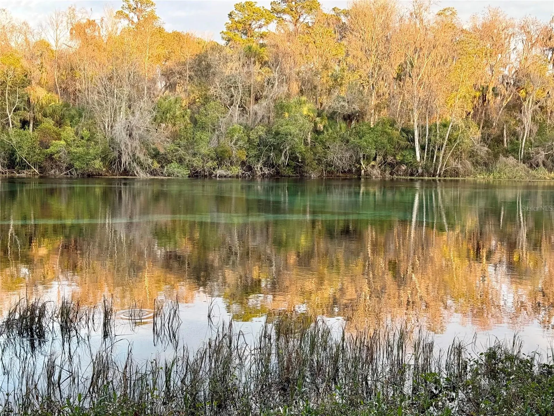 SW 205th Circle Dunnellon FL 34431