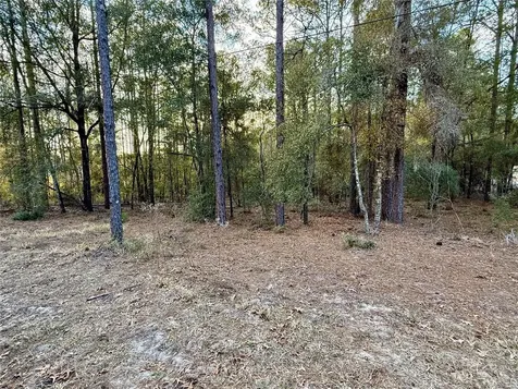 SW 205th Circle Dunnellon FL 34431