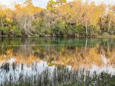 SW 205th Circle Dunnellon FL 34431
