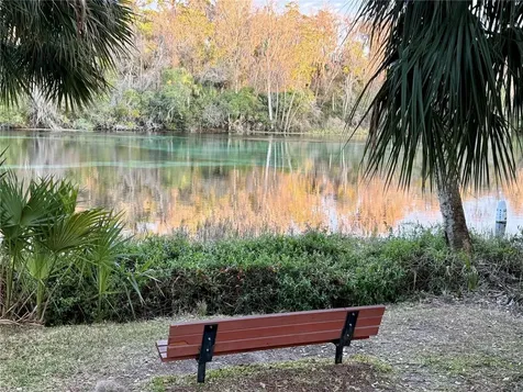 SW 205th Circle Dunnellon FL 34431