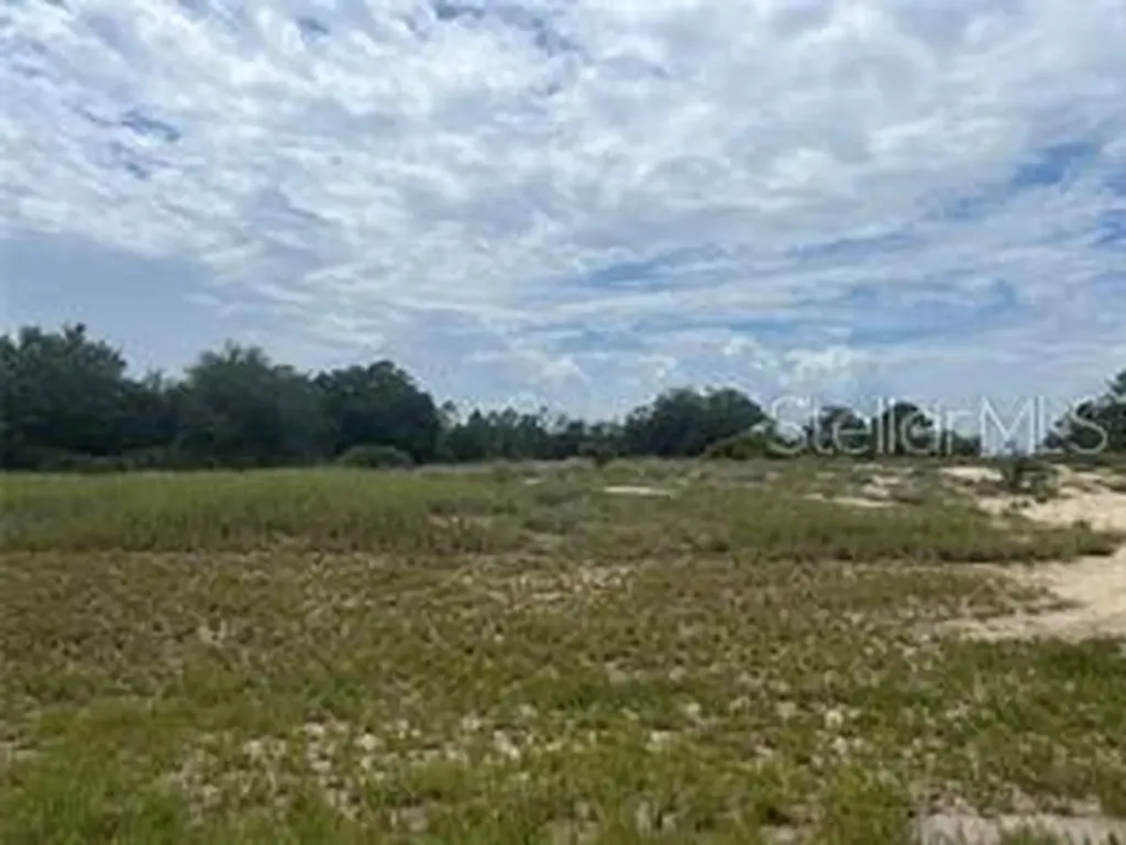 1322 Hillsborough Drive Kissimmee FL 34759