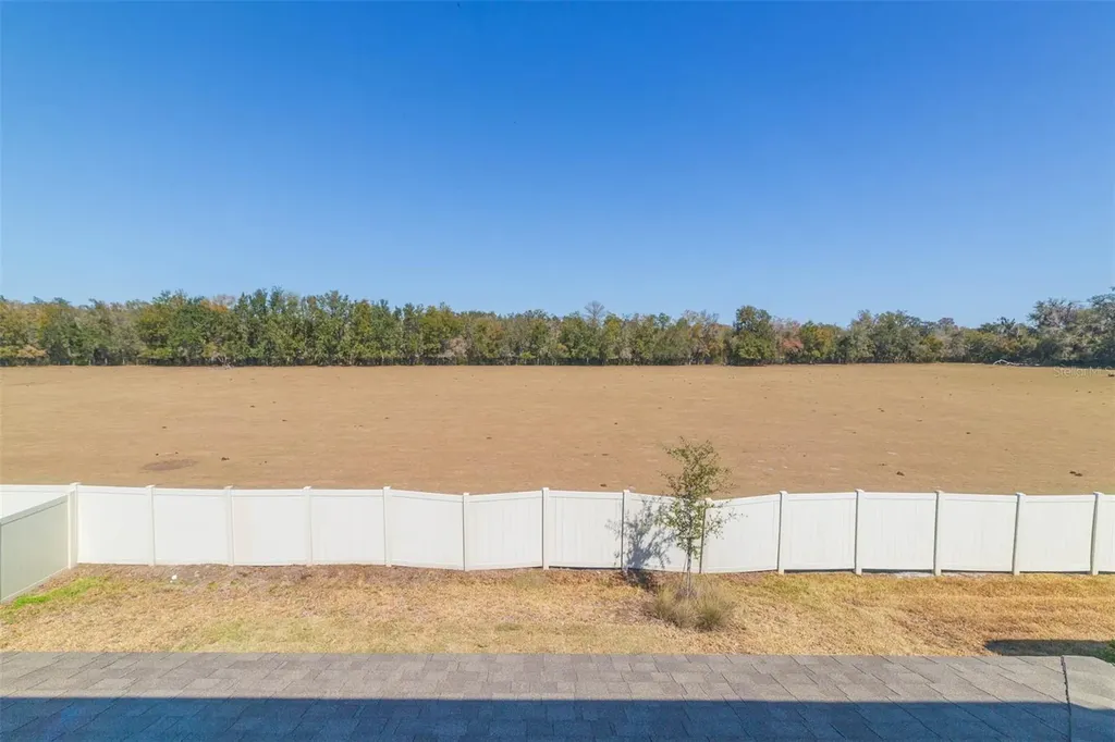 3044 Forest Meadow Avenue Valrico FL 33594