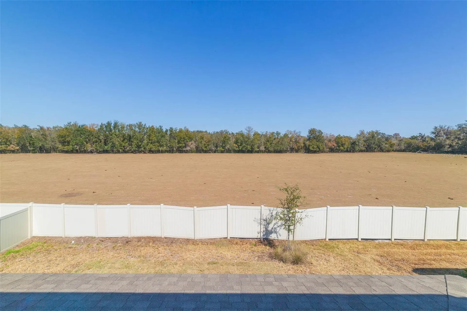 3044 Forest Meadow Avenue Valrico FL 33594