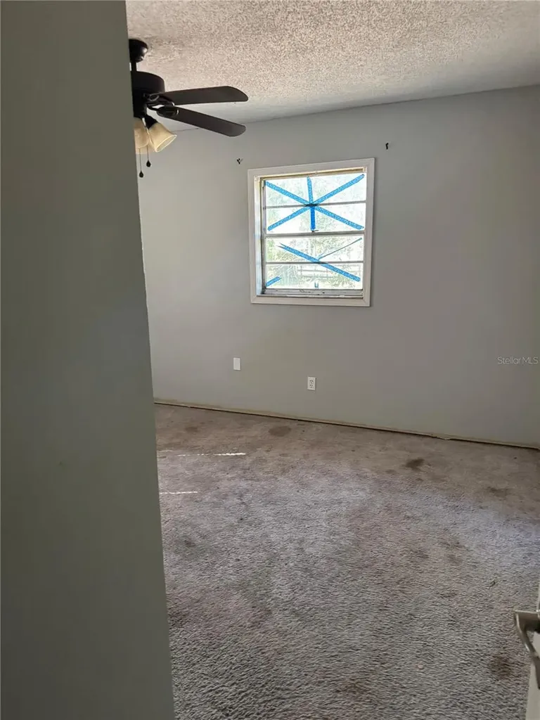 19910 Longleaf Drive Lutz FL 33548