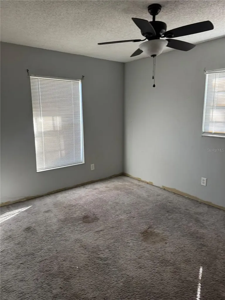 19910 Longleaf Drive Lutz FL 33548