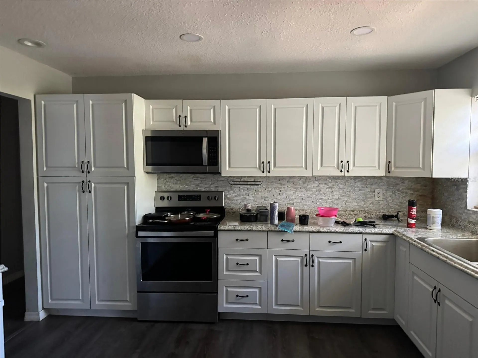 19910 Longleaf Drive Lutz FL 33548