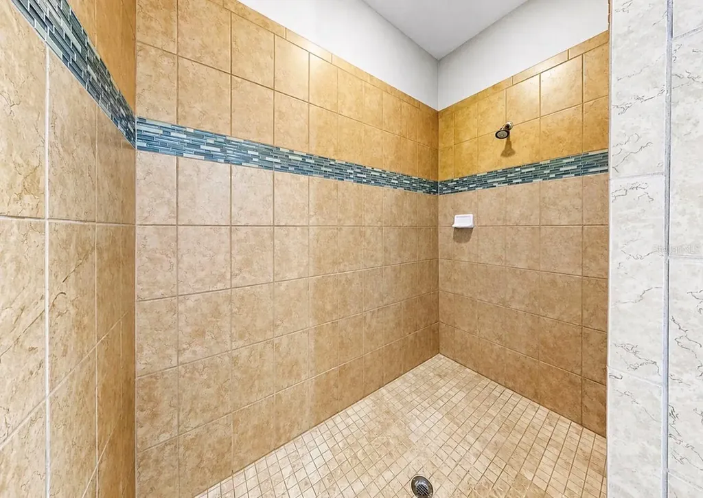 11439 Carlton Fields Drive Riverview FL 33579