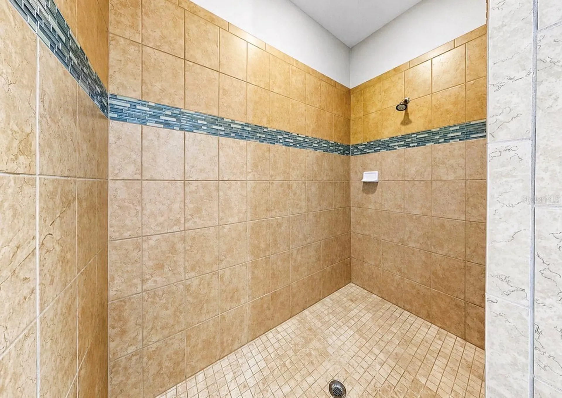 11439 Carlton Fields Drive Riverview FL 33579