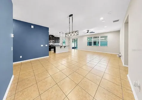 11439 Carlton Fields Drive Riverview FL 33579