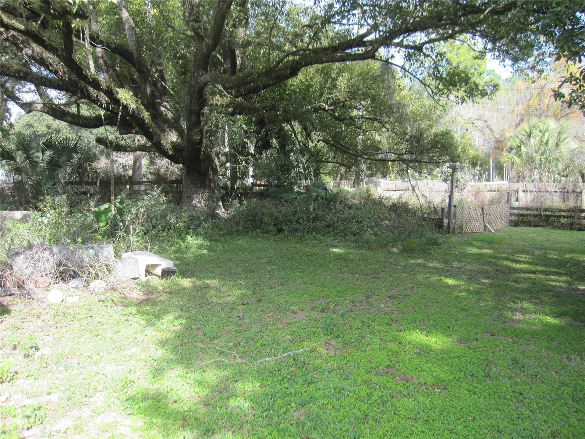 37736 Phelps Road Zephyrhills FL 33541