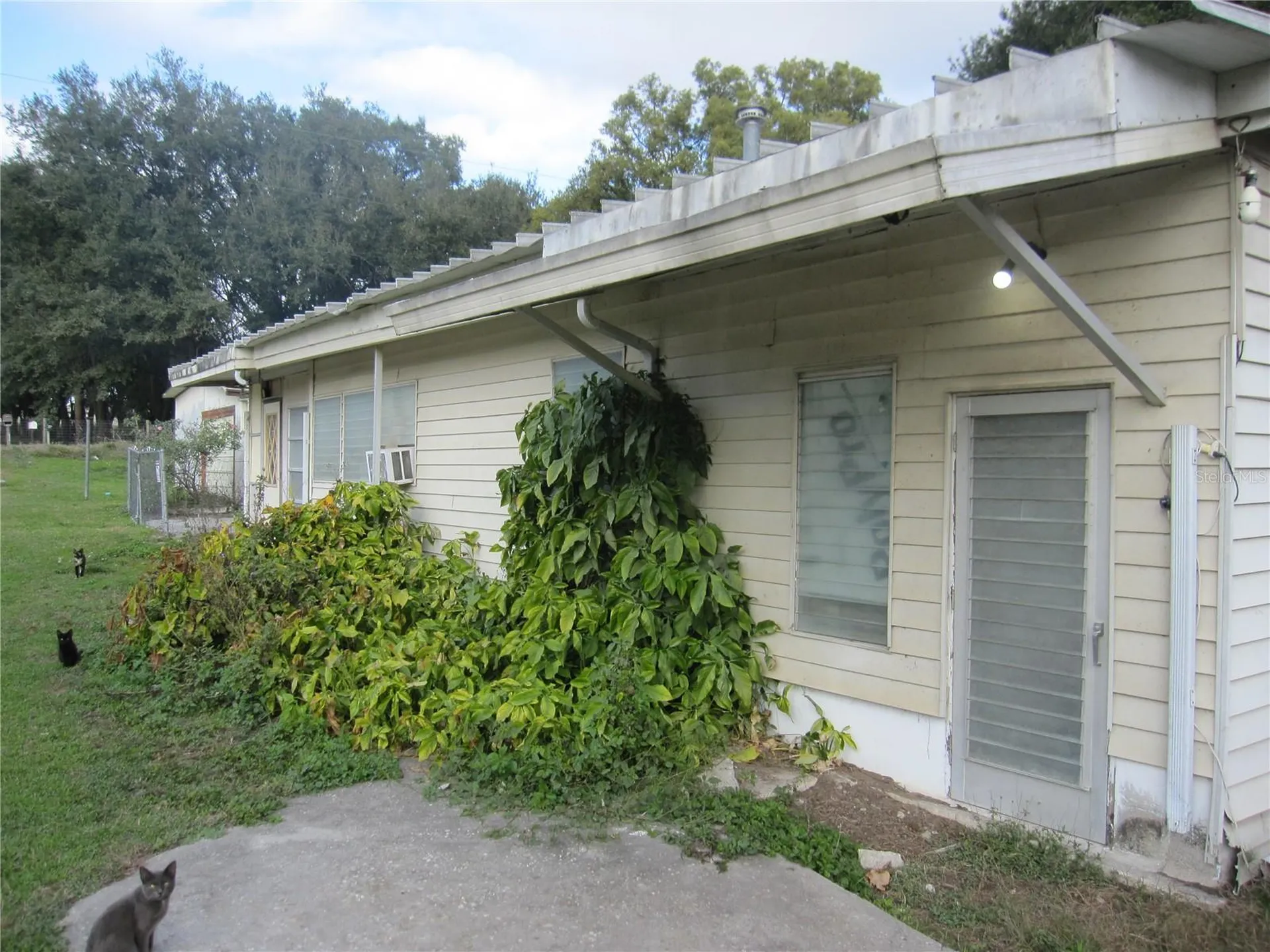 37736 Phelps Road Zephyrhills FL 33541