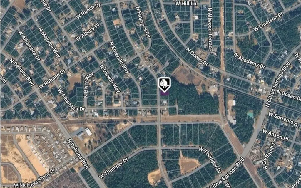 10061 N Biscayne Drive Citrus Springs FL 34434