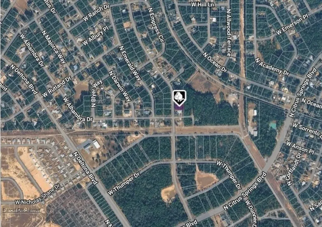 10049 N Biscayne Drive Citrus Springs FL 34434