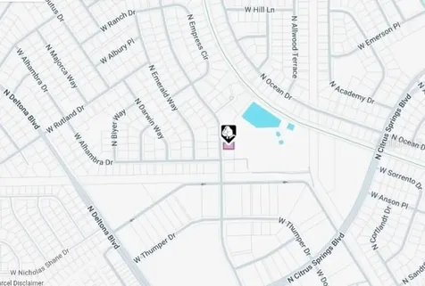 10049 N Biscayne Drive Citrus Springs FL 34434