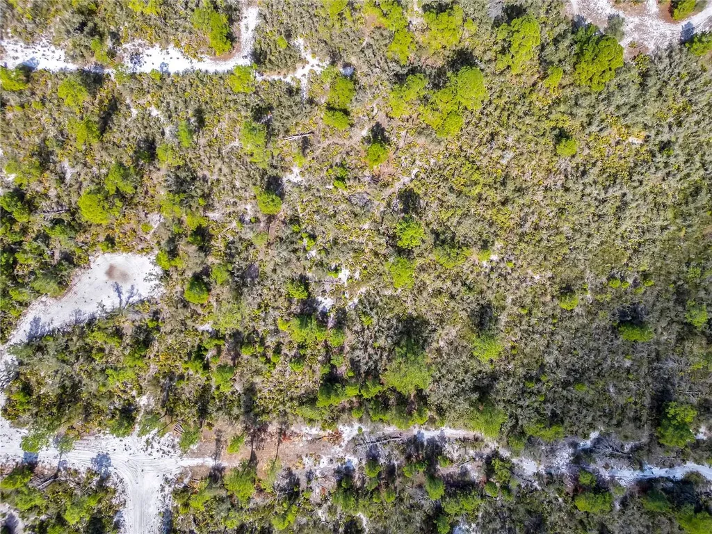 4000 Lomonico Road Sebring FL 33875
