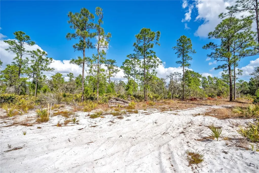 4000 Lomonico Road Sebring FL 33875
