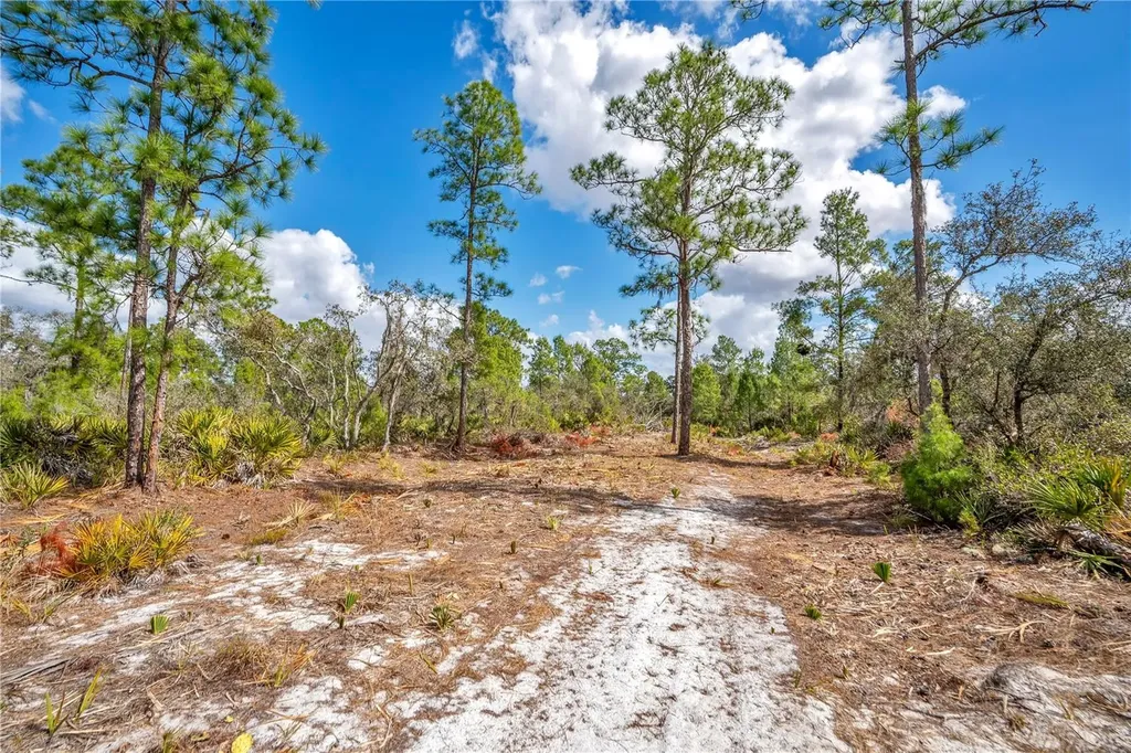 4000 Lomonico Road Sebring FL 33875