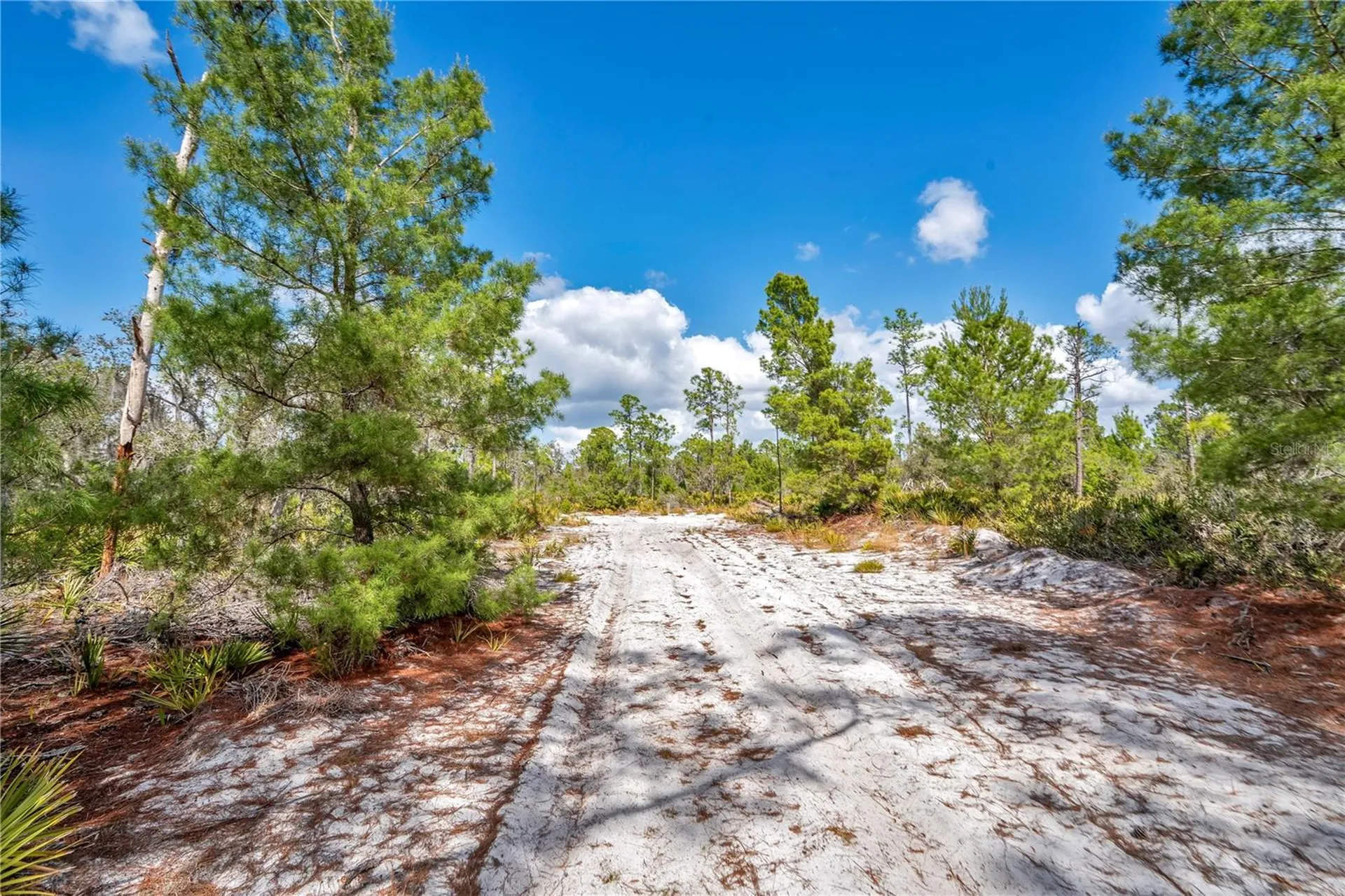 4000 Lomonico Road Sebring FL 33875