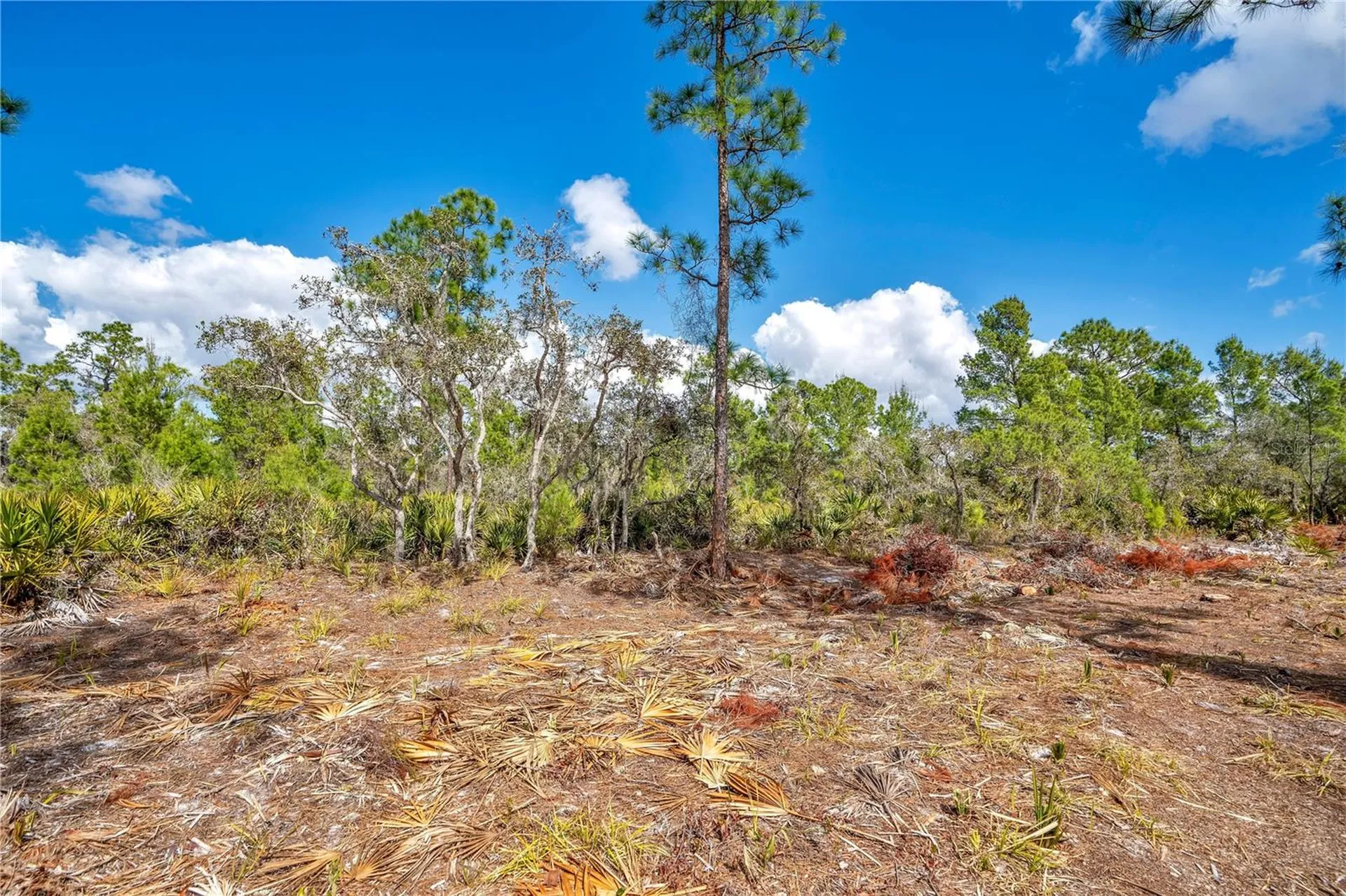 4000 Lomonico Road Sebring FL 33875