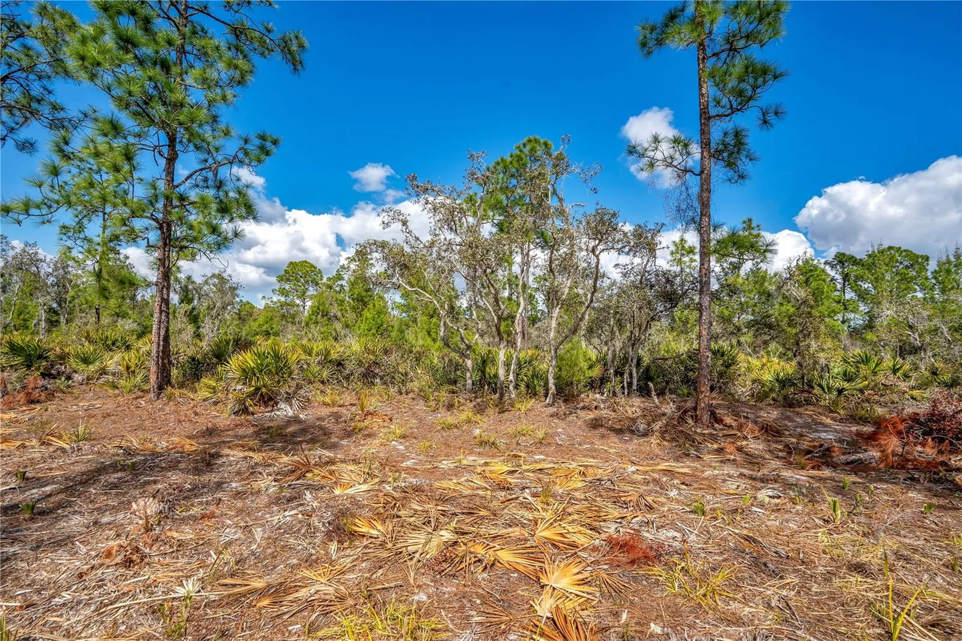 4000 Lomonico Road Sebring FL 33875