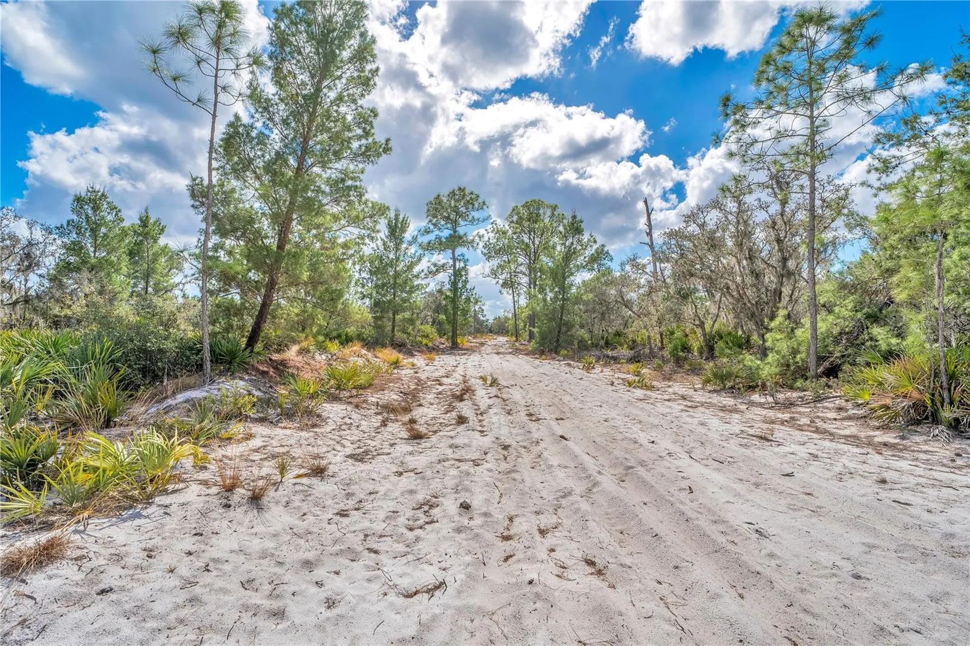 4000 Lomonico Road Sebring FL 33875