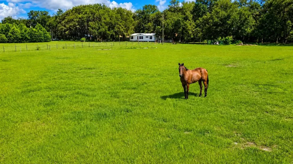 14240 Sr 471 Webster FL 33597