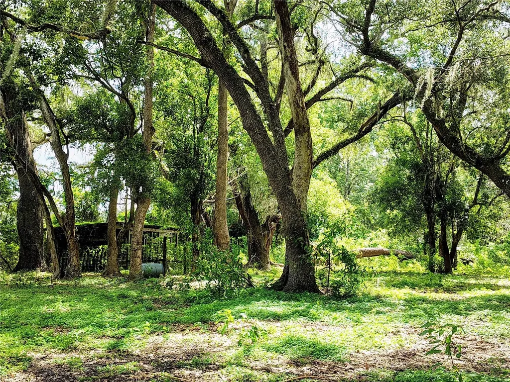 14240 Sr 471 Webster FL 33597