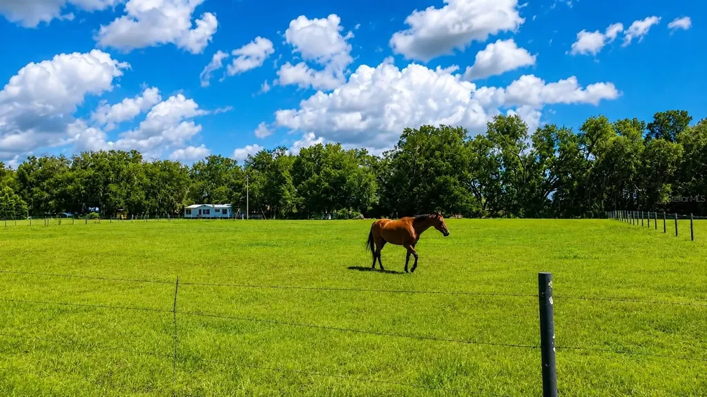 14240 Sr 471 Webster FL 33597