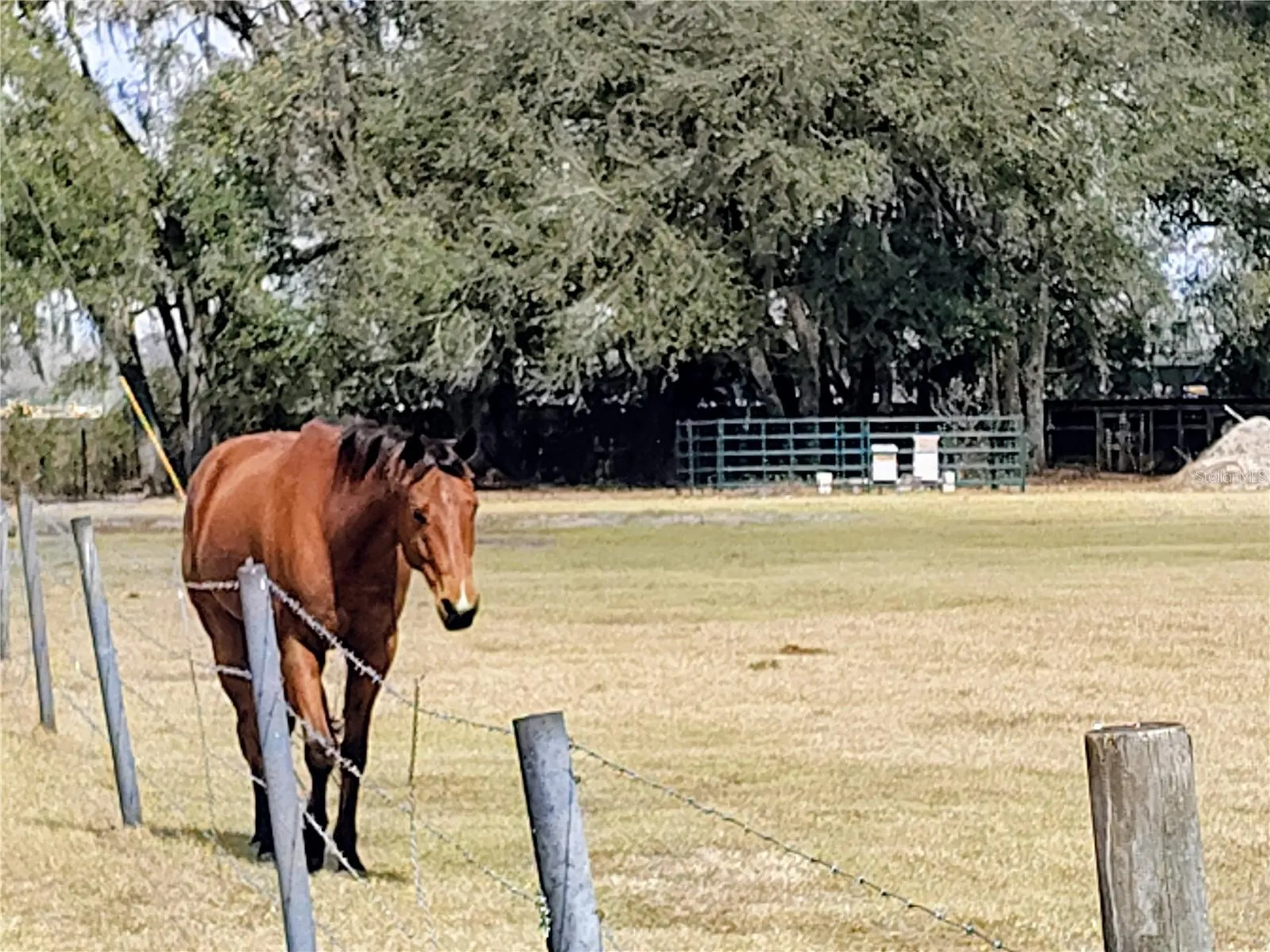14240 Sr 471 Webster FL 33597