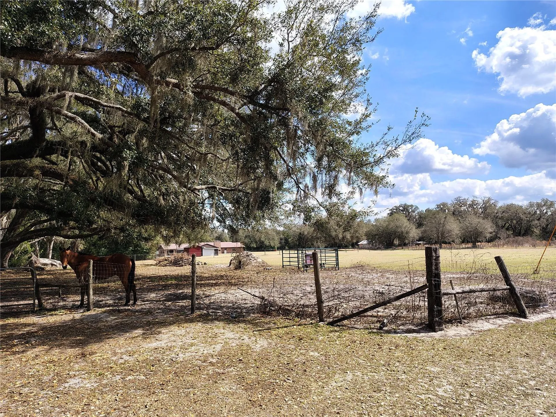 14240 Sr 471 Webster FL 33597