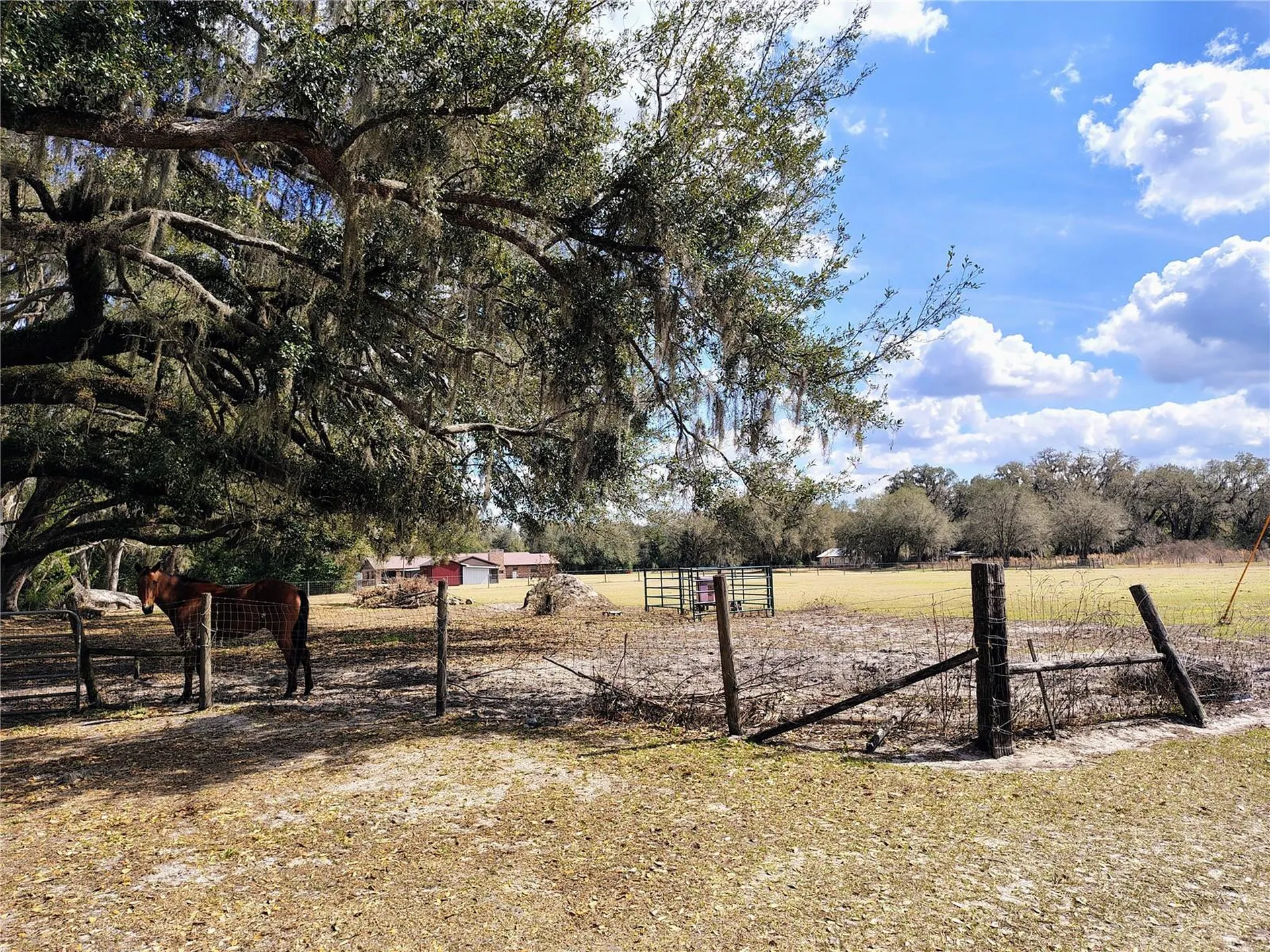14240 Sr 471 Webster FL 33597