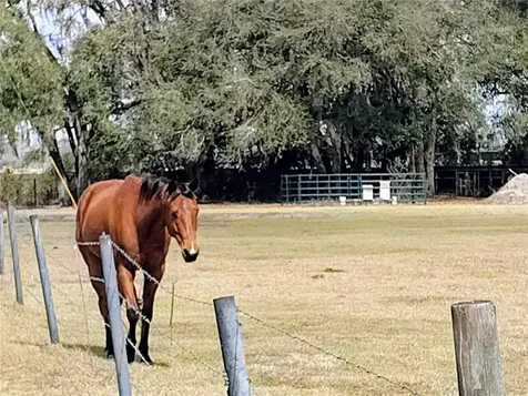 14240 Sr 471 Webster FL 33597