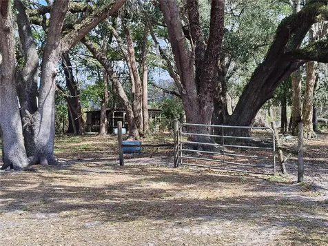 14240 Sr 471 Webster FL 33597