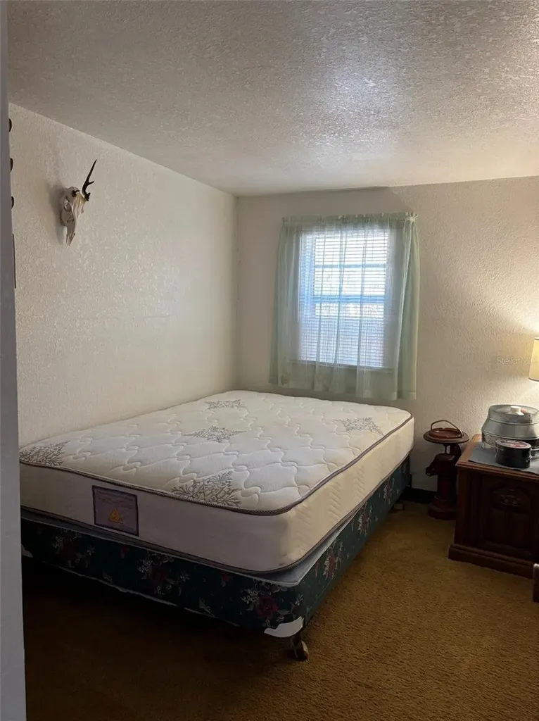 14500 NE 188th Place Fort Mc Coy FL 32134