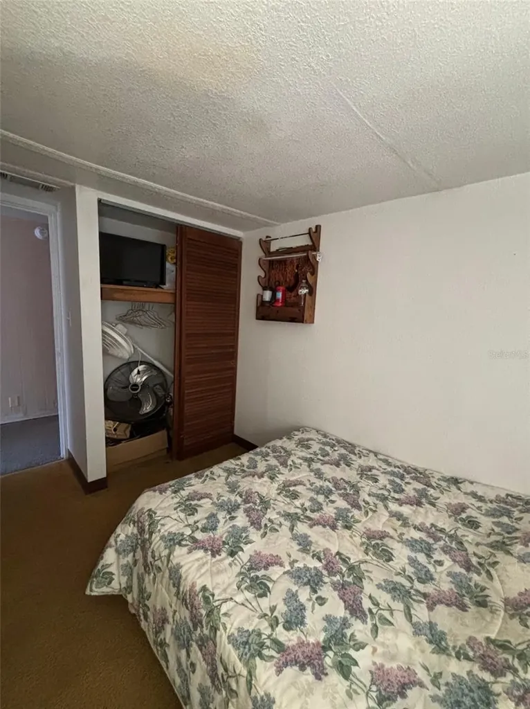 14500 NE 188th Place Fort Mc Coy FL 32134
