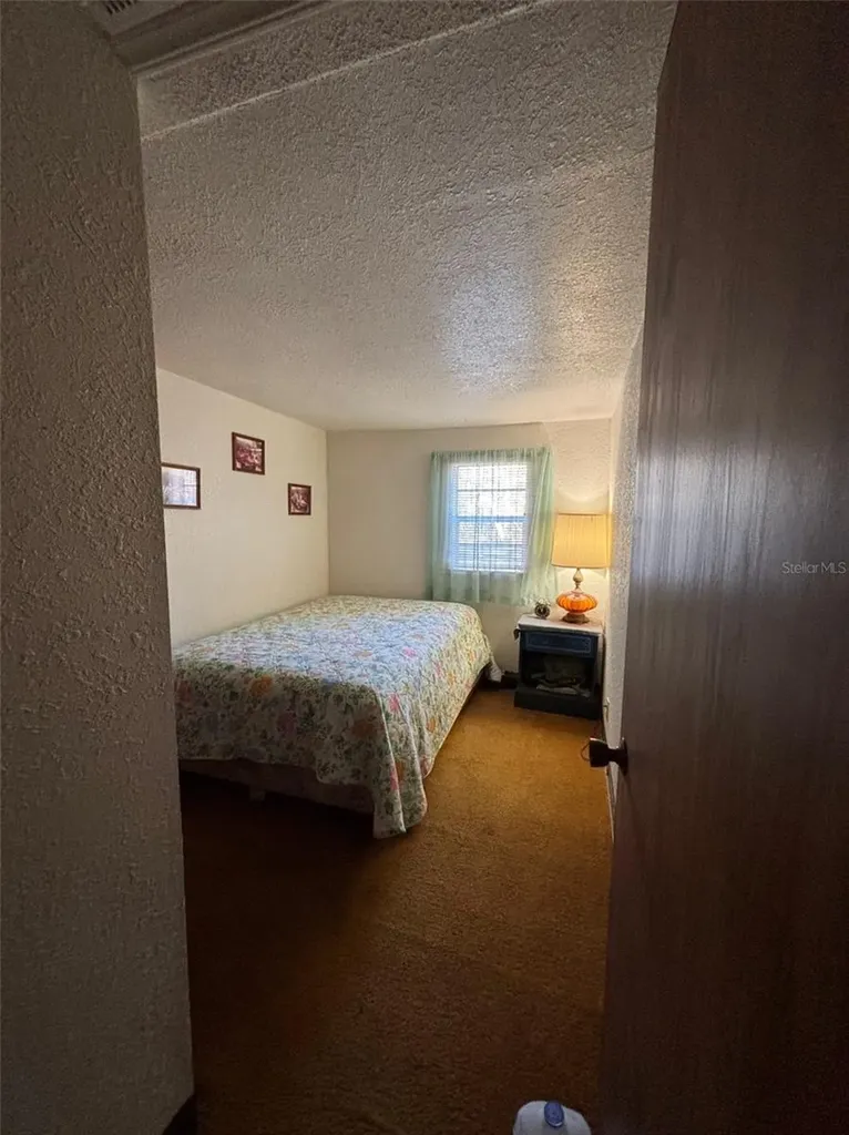 14500 NE 188th Place Fort Mc Coy FL 32134