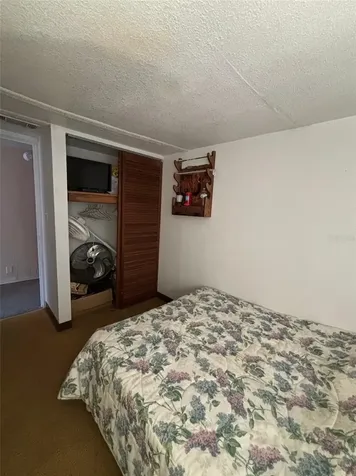 14500 NE 188th Place Fort Mc Coy FL 32134