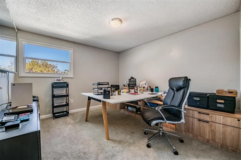 18200 Cypress Cove Lane Lutz FL 33549