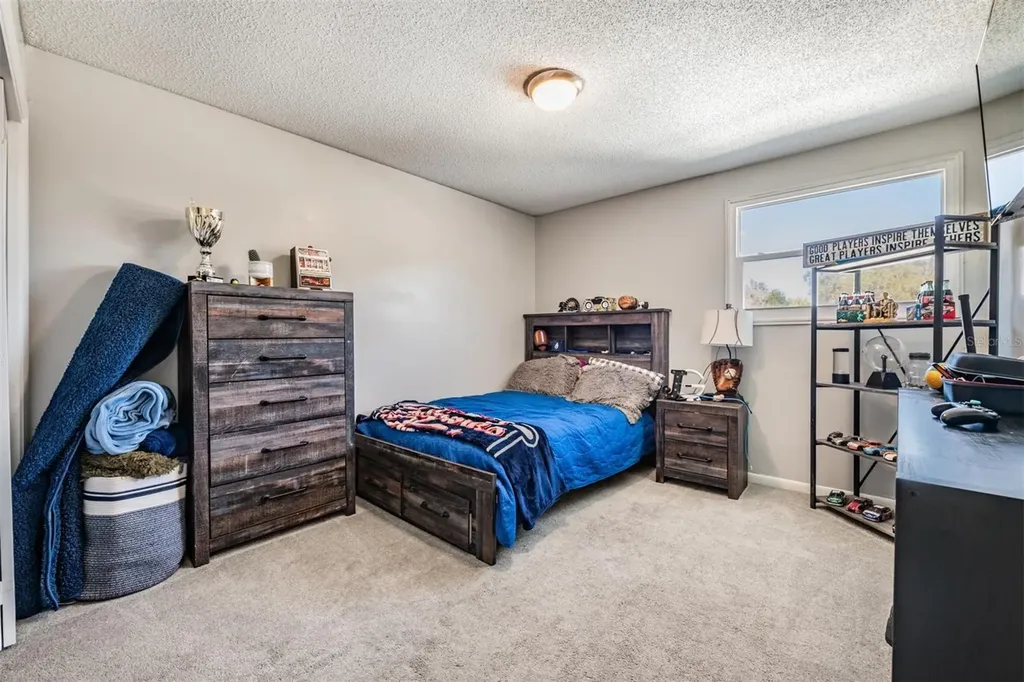 18200 Cypress Cove Lane Lutz FL 33549