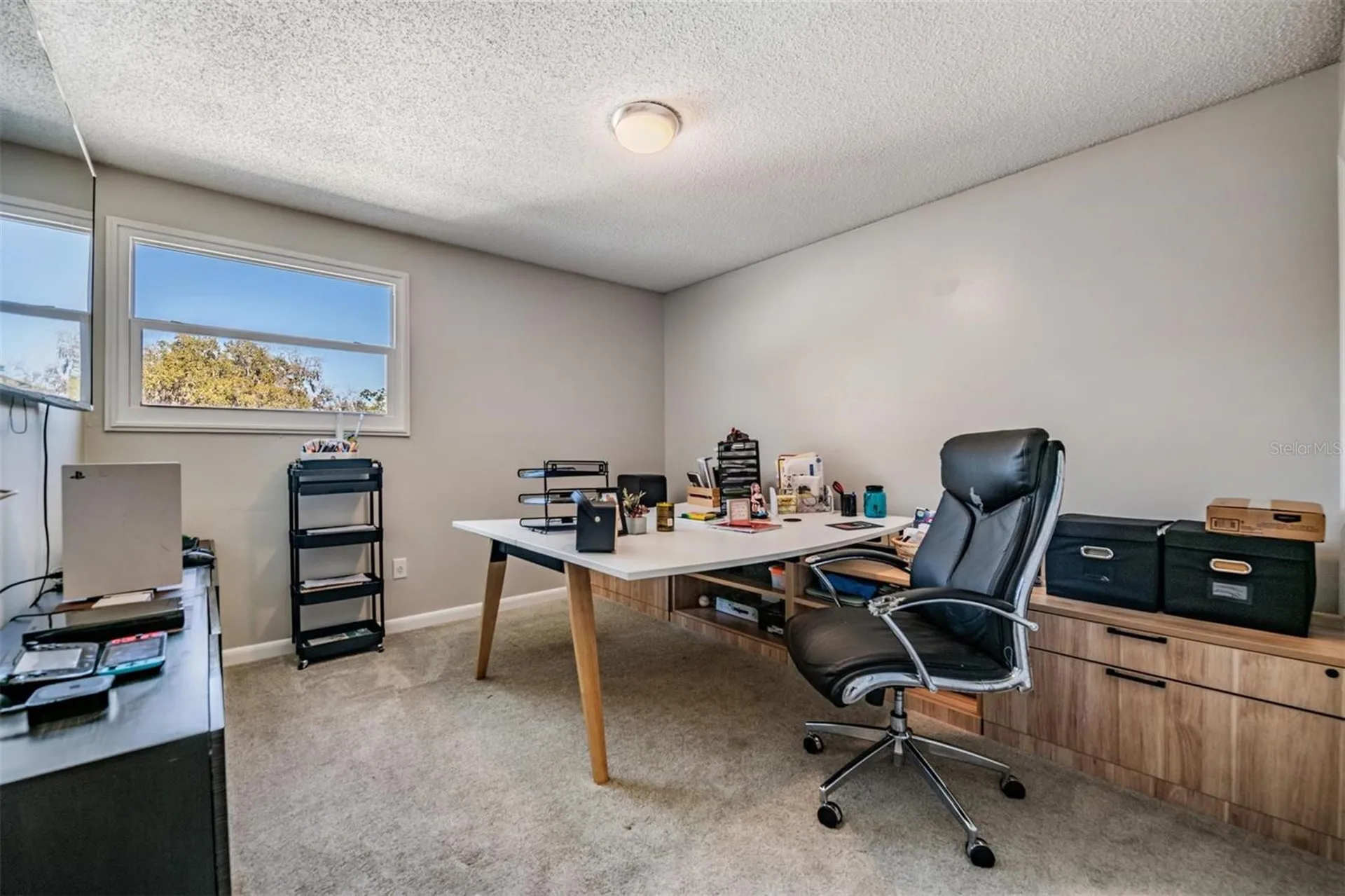 18200 Cypress Cove Lane Lutz FL 33549