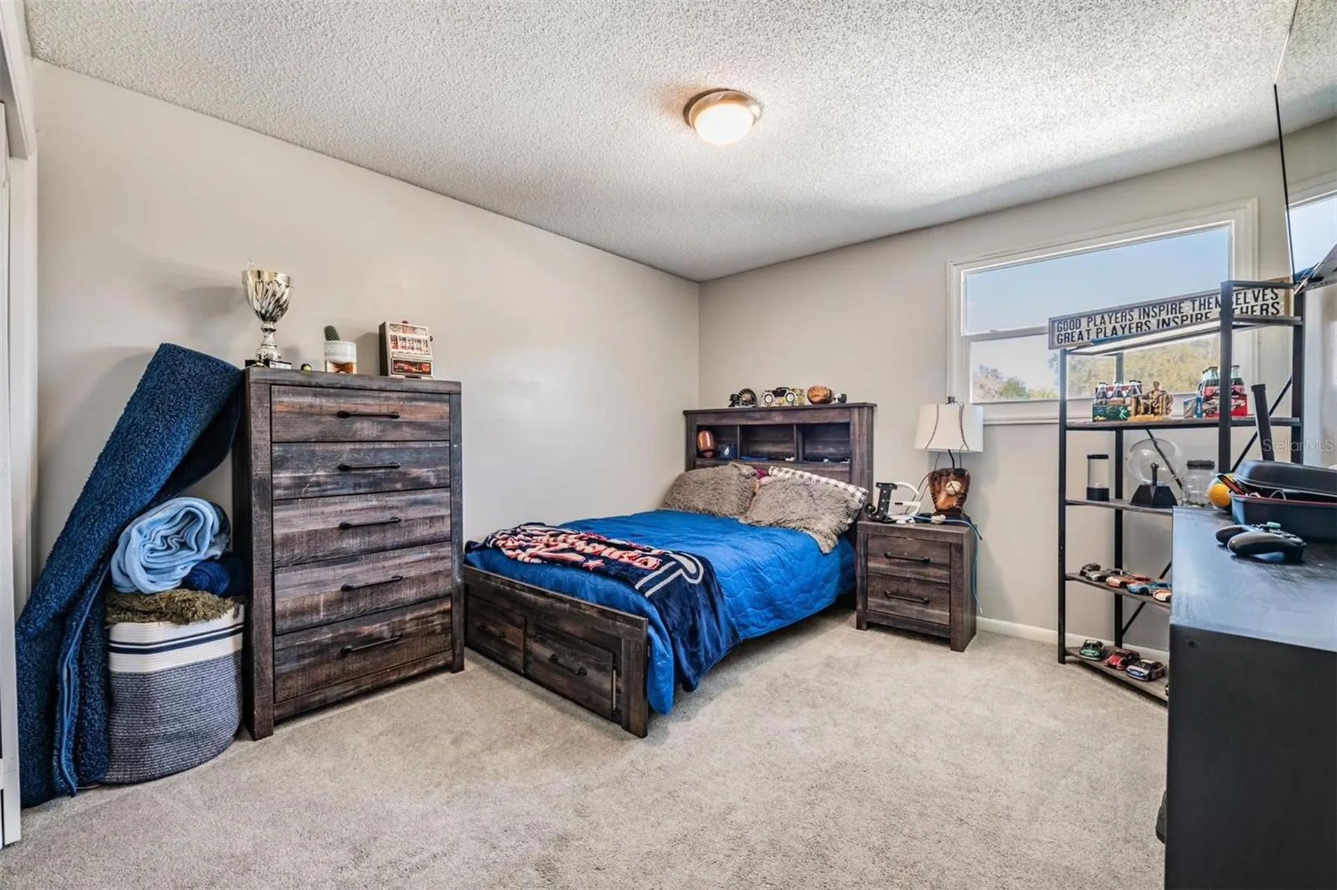 18200 Cypress Cove Lane Lutz FL 33549