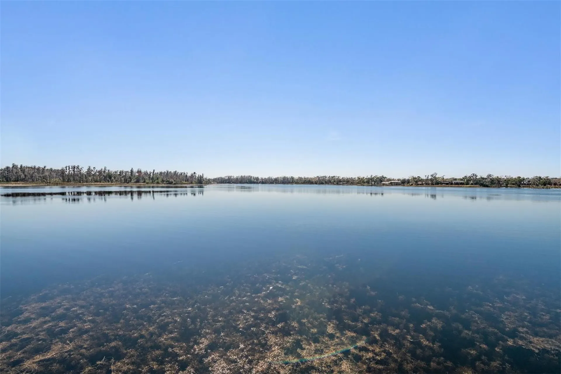 18200 Cypress Cove Lane Lutz FL 33549