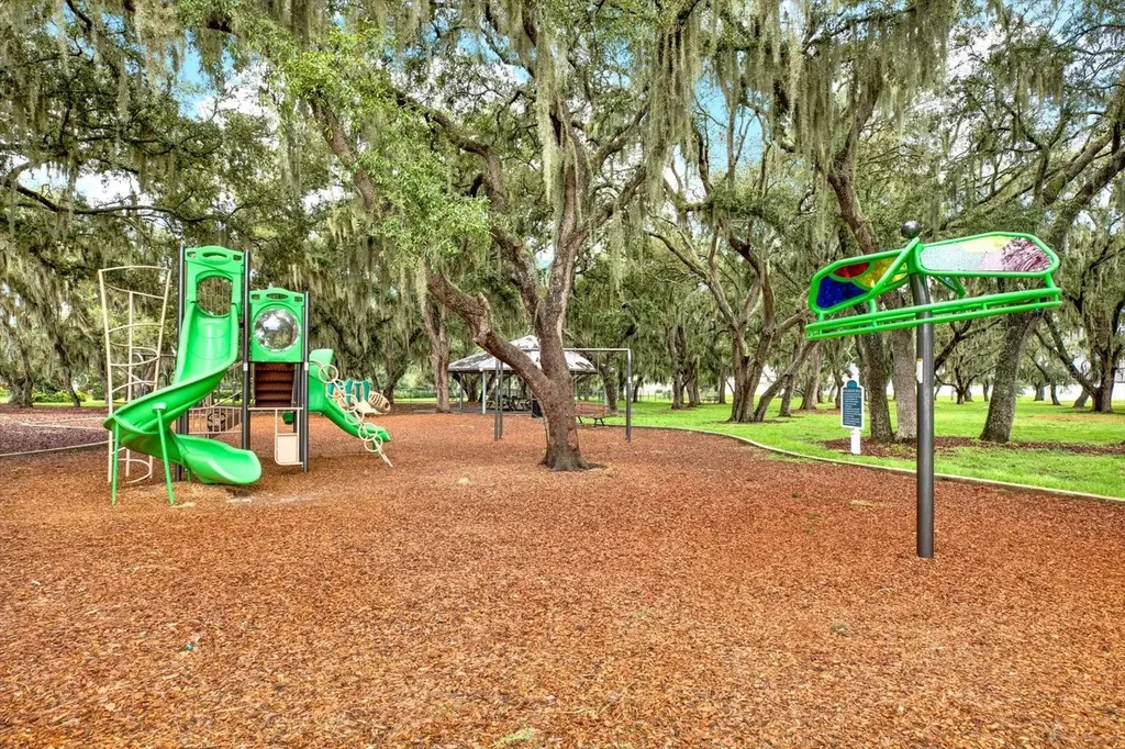 13113 Wildflower Meadow Drive Riverview FL 33579