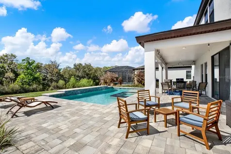13113 Wildflower Meadow Drive Riverview FL 33579