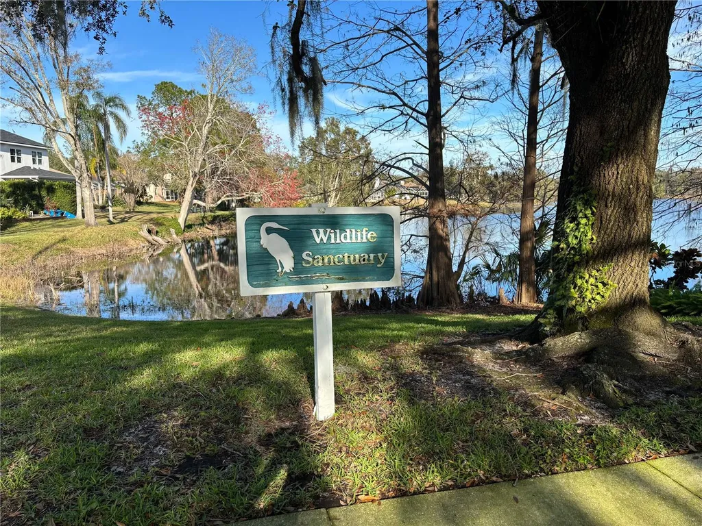 16506 Longleat Drive Lutz FL 33549