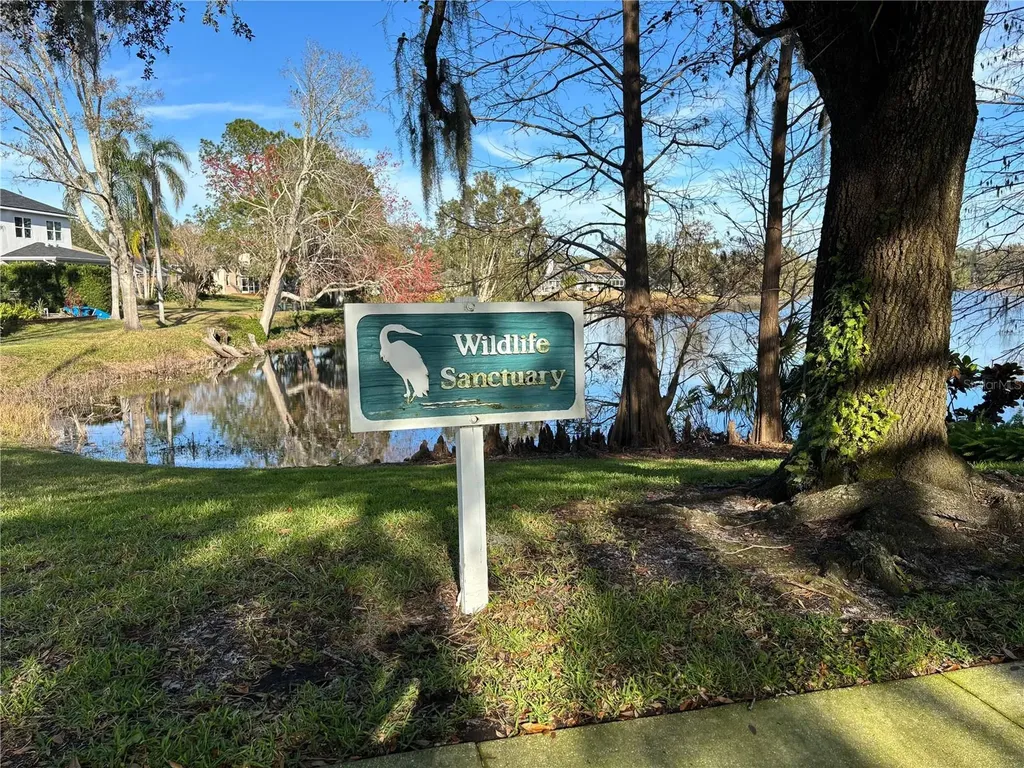 16506 Longleat Drive Lutz FL 33549
